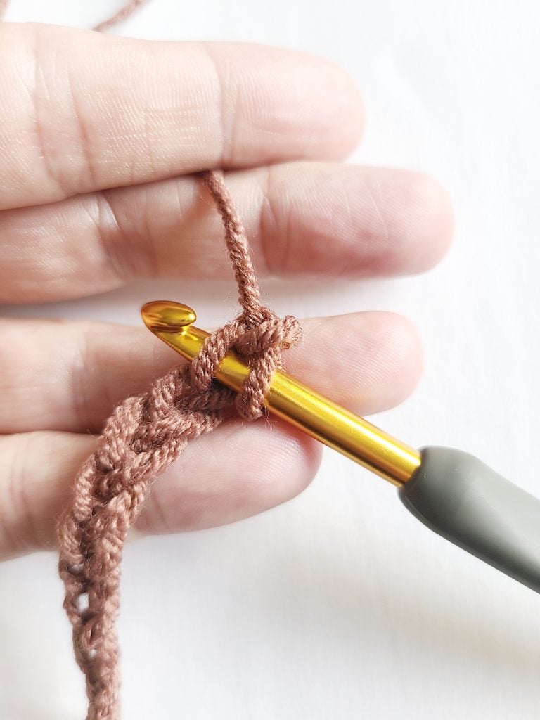 Insert The Hook Into The Next Stitch