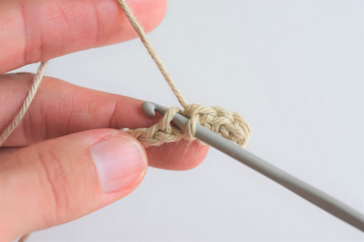 Insert The Hook Into The Next Stitch
